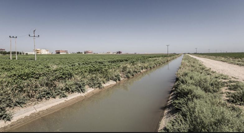 Arazi (Tarla) Değerlemesi